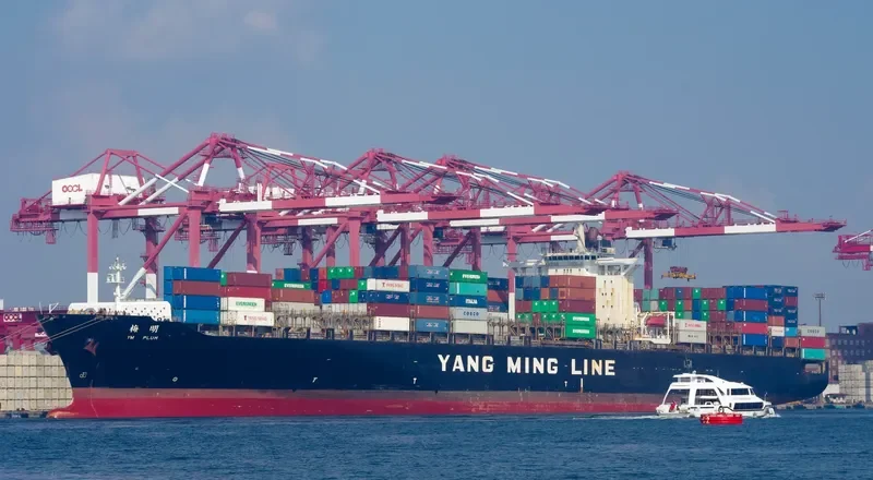 YM PLUM Container Ship IMO 9198264