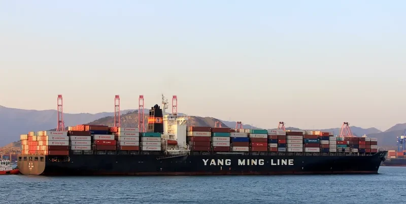 YM PLUM Container Ship IMO 9198264 photo 4
