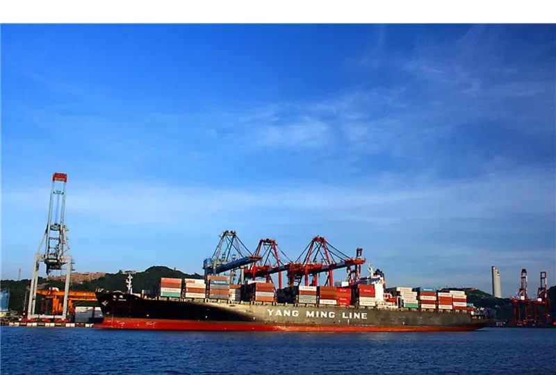 YM ORCHID Container Ship IMO 9198276 photo 8