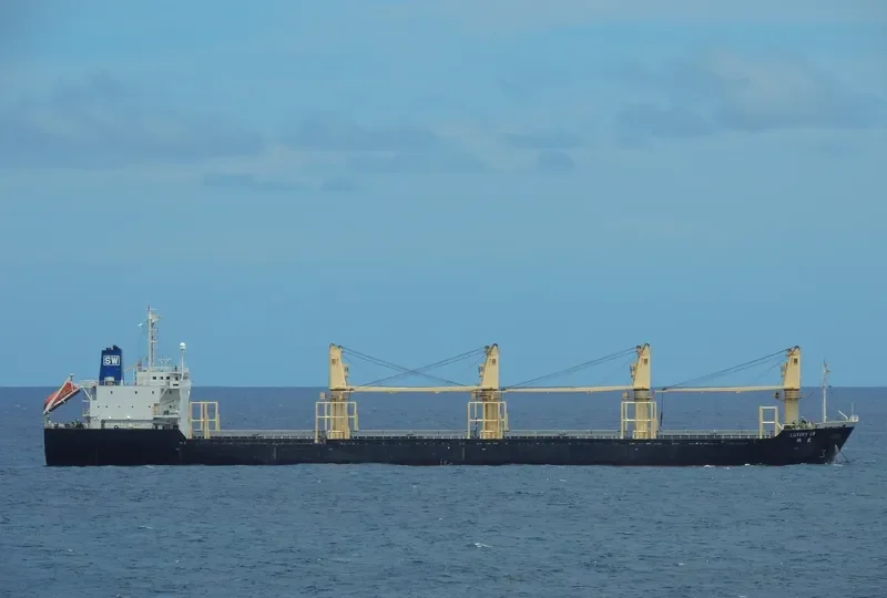 HN LUXURY Bulk Carrier IMO 9198379 photo 5