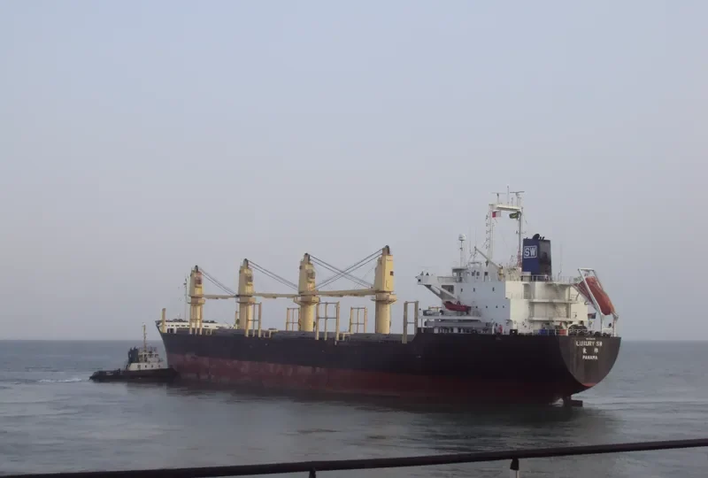 HN LUXURY Bulk Carrier IMO 9198379 photo 9