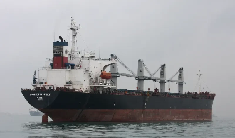 BOSPHORUS PRINCE Bulk Carrier IMO 9198381 photo 7