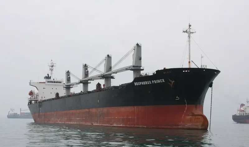 BOSPHORUS PRINCE Bulk Carrier IMO 9198381 photo 8