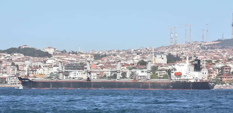 JIA HANG FA Bulk Carrier IMO 9198393 photo 3