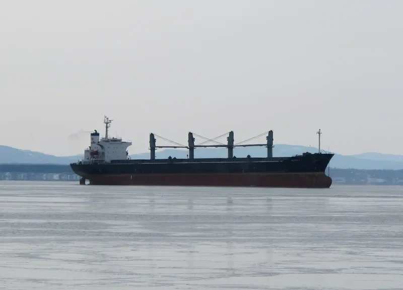 JIA HANG FA Bulk Carrier IMO 9198393 photo 5