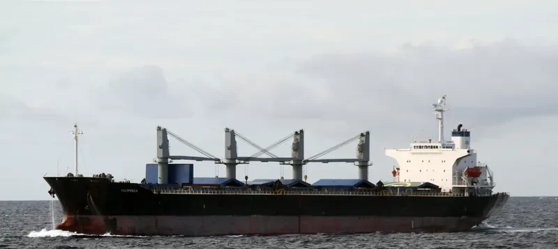 JIA HANG FA Bulk Carrier IMO 9198393 photo 6