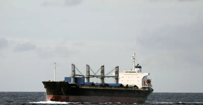JIA HANG FA Bulk Carrier IMO 9198393 photo 7