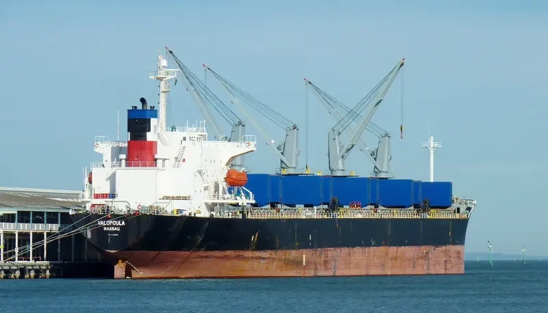 JIA HANG FA Bulk Carrier IMO 9198393 photo 8