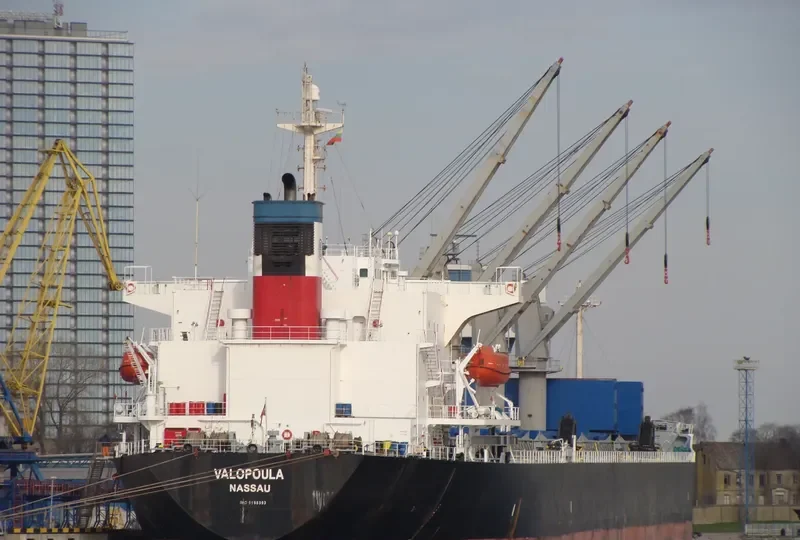 JIA HANG FA Bulk Carrier IMO 9198393 photo 10
