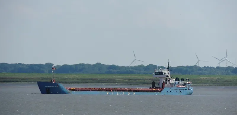 WILSON WESER General Cargo IMO 9198446 photo 3