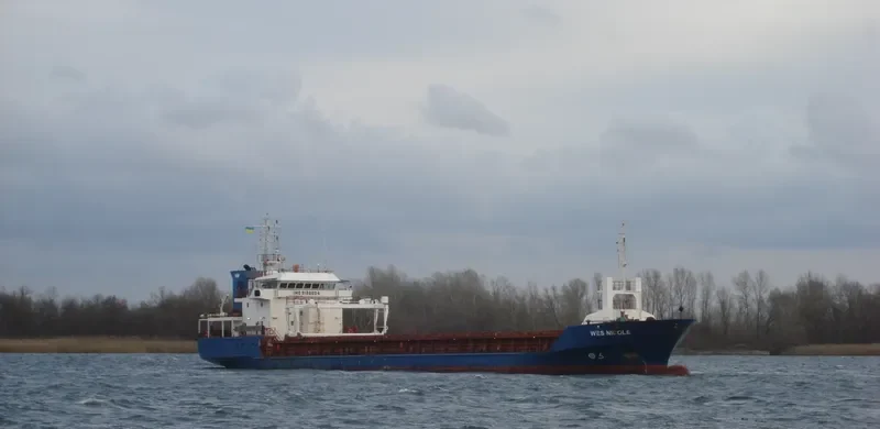 WILSON HULL General Cargo IMO 9198604 photo 3