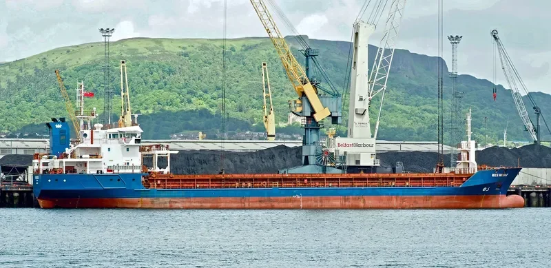 WILSON HULL General Cargo IMO 9198604 photo 8