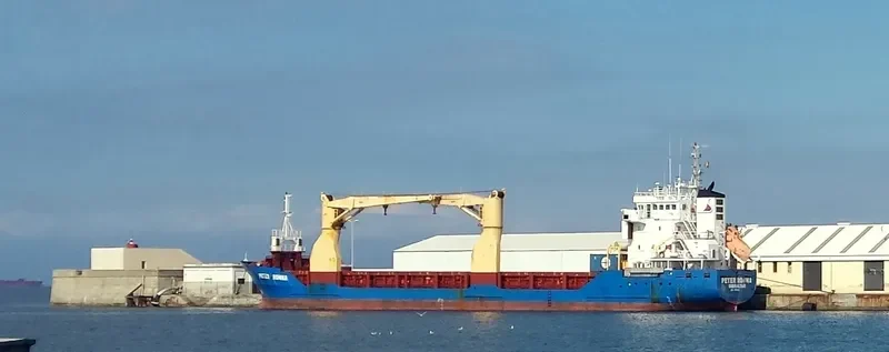 PETER RONNA General Cargo IMO 9198628
