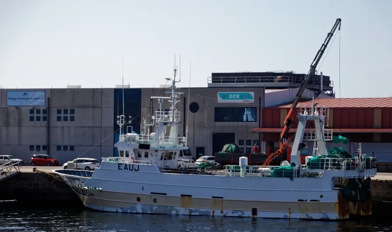 NOVO MORRINA General Cargo IMO 9198824
