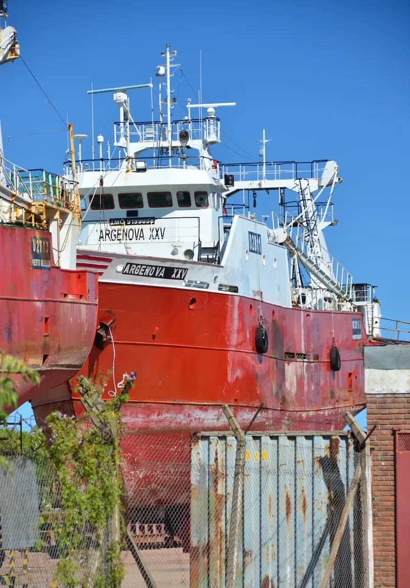 ARGENOVA 25 General Cargo IMO 9199098 photo 7