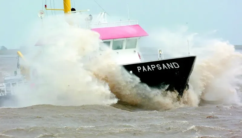 PAAPSAND General Cargo IMO 9199177 photo 7