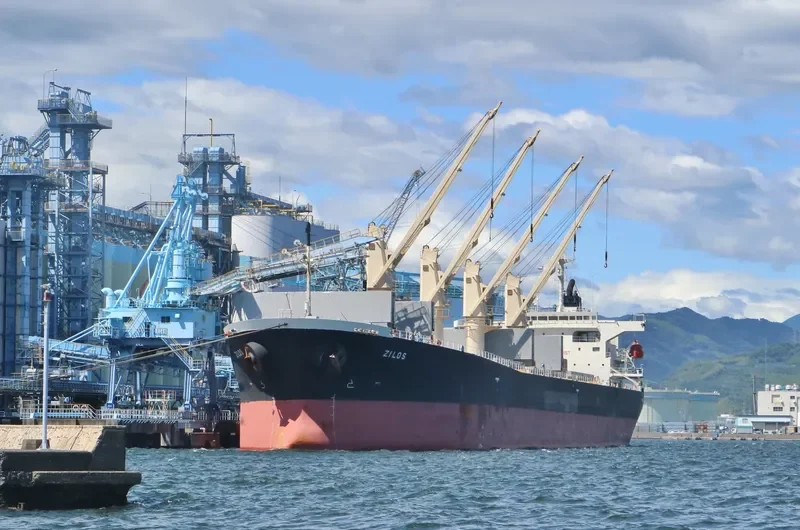 ZILOS Bulk Carrier IMO 9199206 photo 5