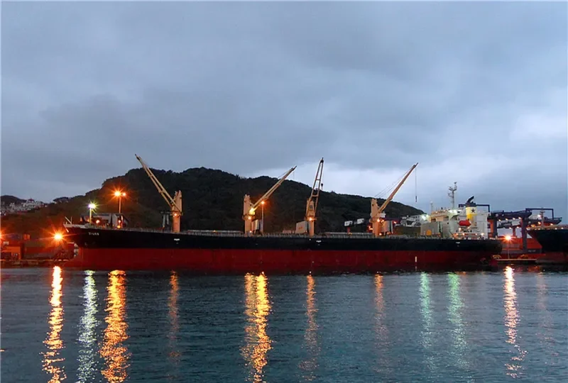 ZILOS Bulk Carrier IMO 9199206 photo 8