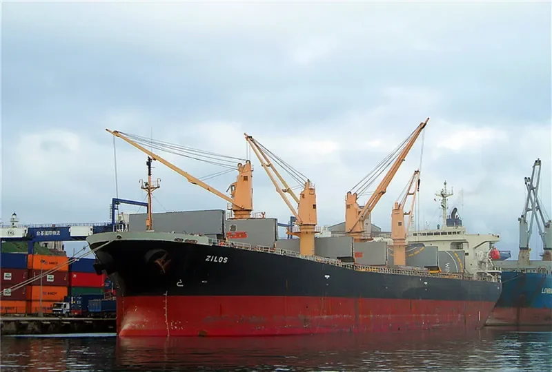 ZILOS Bulk Carrier IMO 9199206 photo 9