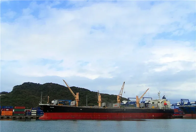 ZILOS Bulk Carrier IMO 9199206 photo 10