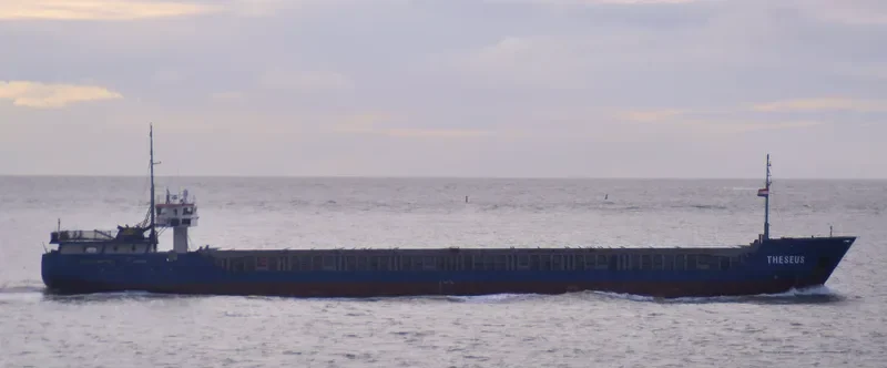 THESEUS Container Ship IMO 9199256