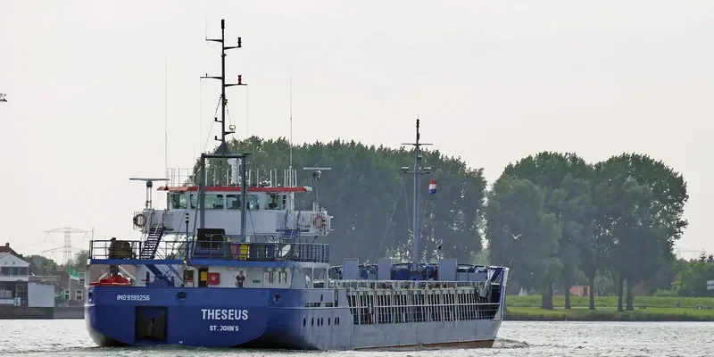 THESEUS Container Ship IMO 9199256 photo 2