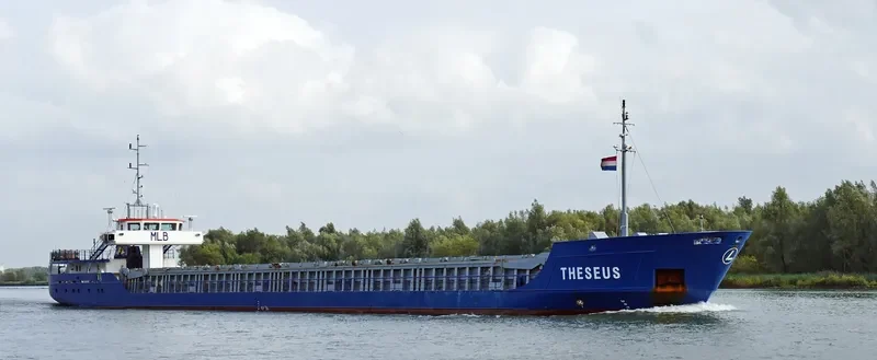 THESEUS Container Ship IMO 9199256 photo 3