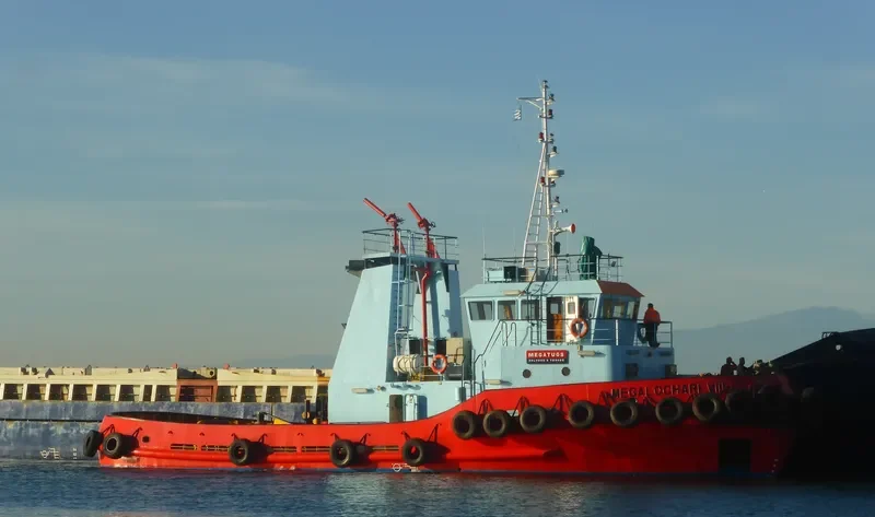 MEGALOCHARI VIII General Cargo IMO 9199440 photo 3