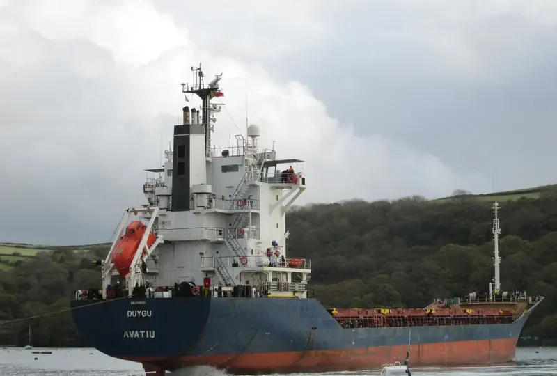 DUYGU Container Ship IMO 9199787