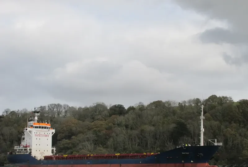DUYGU Container Ship IMO 9199787 photo 2