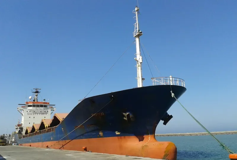 DUYGU Container Ship IMO 9199787 photo 3