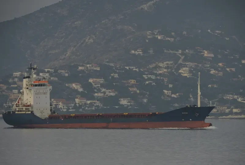 DUYGU Container Ship IMO 9199787 photo 5