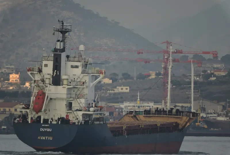 DUYGU Container Ship IMO 9199787 photo 7