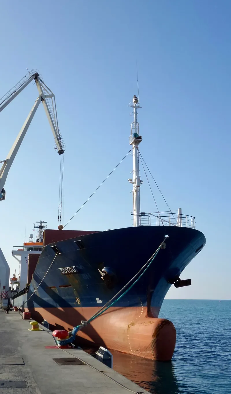 DUYGU Container Ship IMO 9199787 photo 10