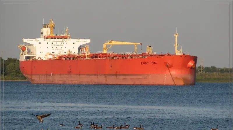 ELISA SEA Tanker IMO 9199828 photo 5