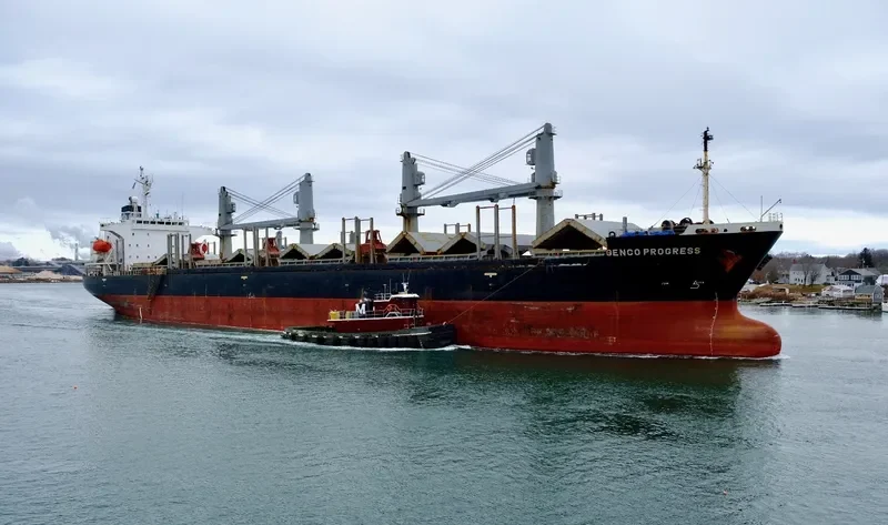 SOPHIA OCEAN Bulk Carrier IMO 9199830