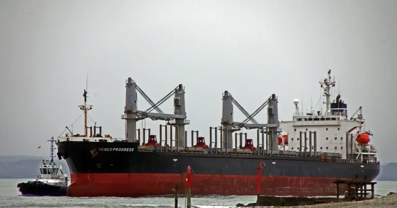 SOPHIA OCEAN Bulk Carrier IMO 9199830 photo 7