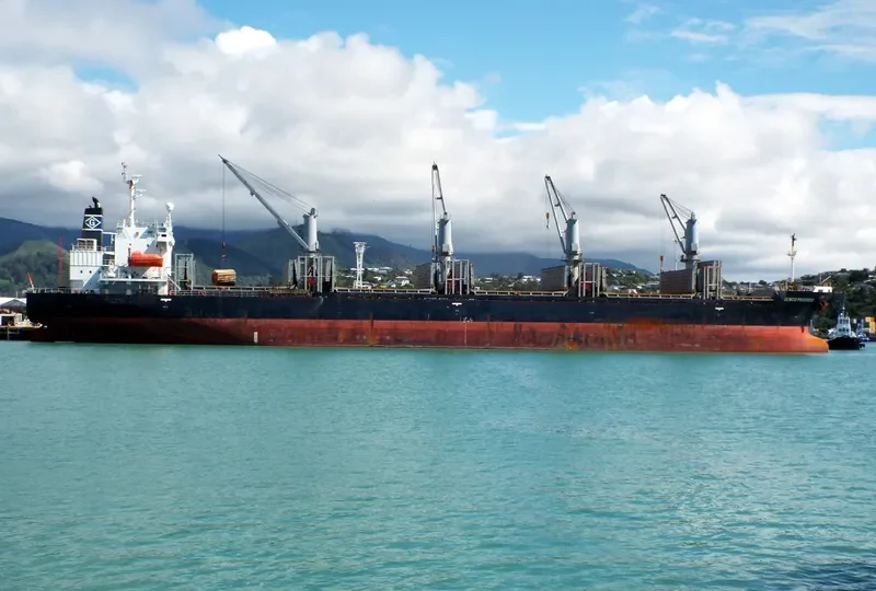SOPHIA OCEAN Bulk Carrier IMO 9199830 photo 8