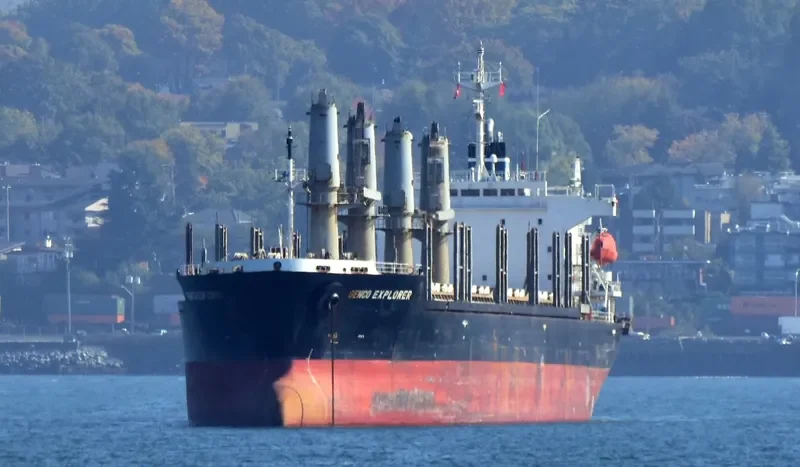 BAO FENG Bulk Carrier IMO 9199842
