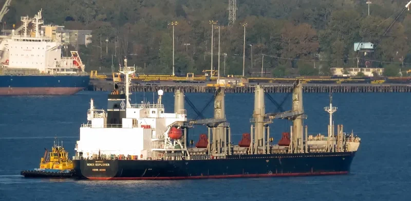 BAO FENG Bulk Carrier IMO 9199842 photo 3