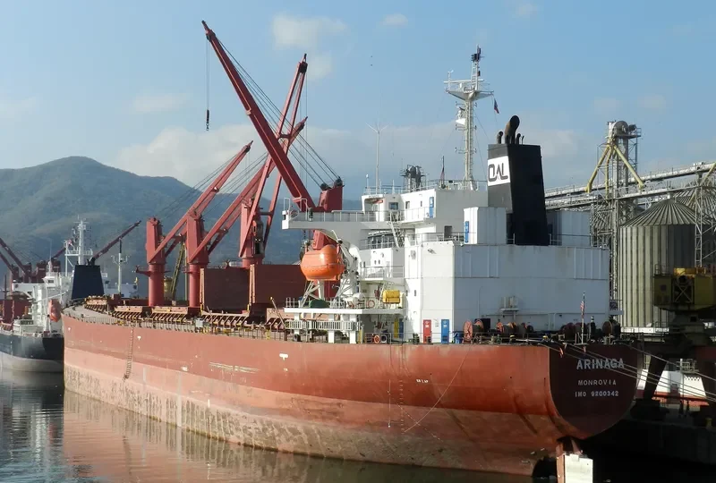 SIRRAH Bulk Carrier IMO 9200342 photo 3