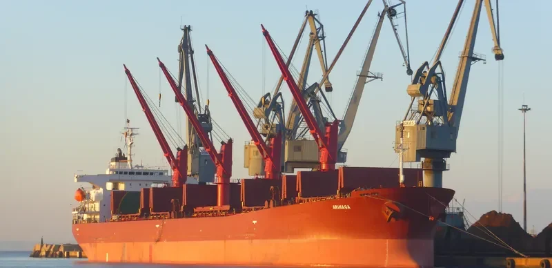 SIRRAH Bulk Carrier IMO 9200342 photo 4