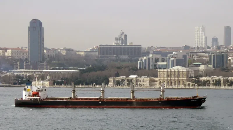 AMBER L Bulk Carrier IMO 9200354