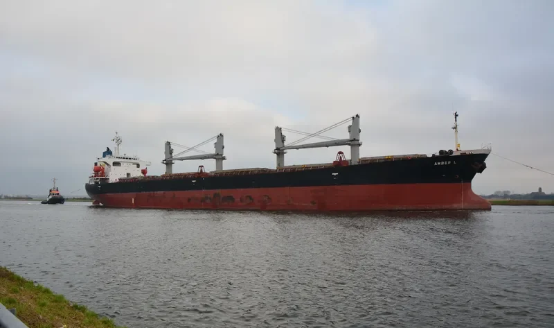 AMBER L Bulk Carrier IMO 9200354 photo 2
