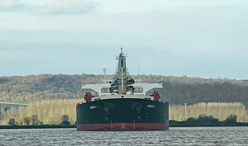 AMBER L Bulk Carrier IMO 9200354 photo 3