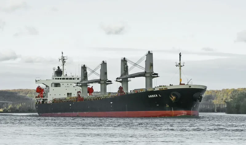 AMBER L Bulk Carrier IMO 9200354 photo 4