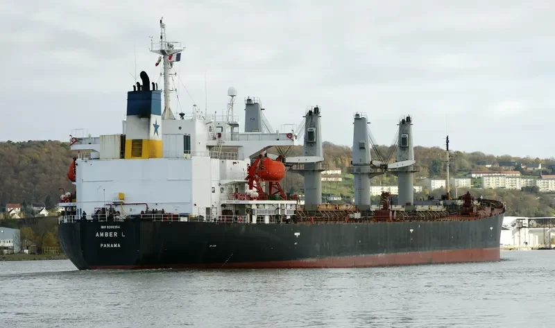 AMBER L Bulk Carrier IMO 9200354 photo 5