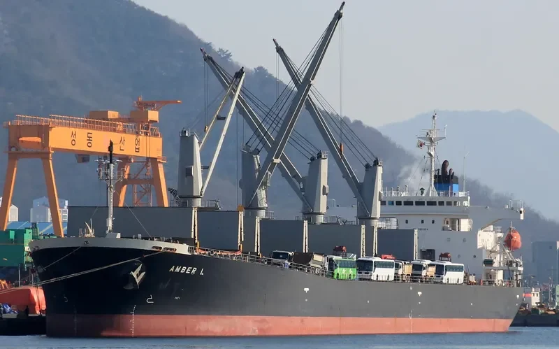 AMBER L Bulk Carrier IMO 9200354 photo 7