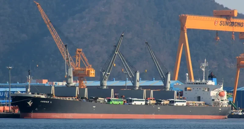 AMBER L Bulk Carrier IMO 9200354 photo 8