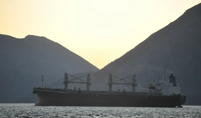 AMBER L Bulk Carrier IMO 9200354 photo 9